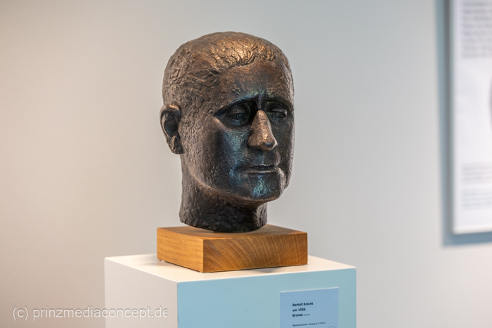 Galeriebild 9