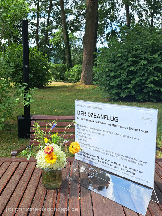 Galeriebild 3
