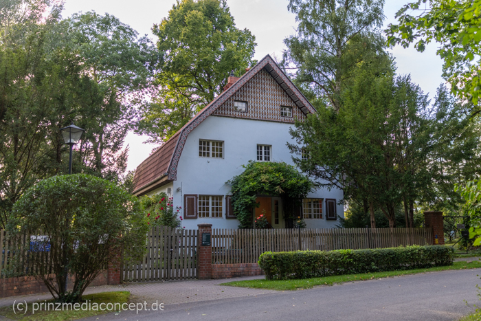 Galeriebild 1