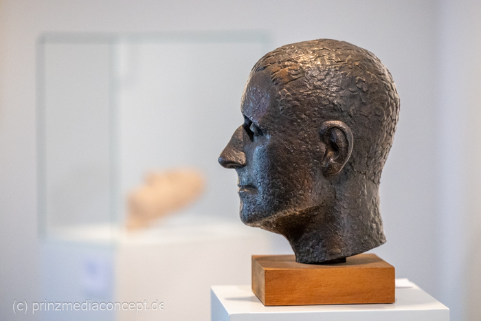 Galeriebild 8