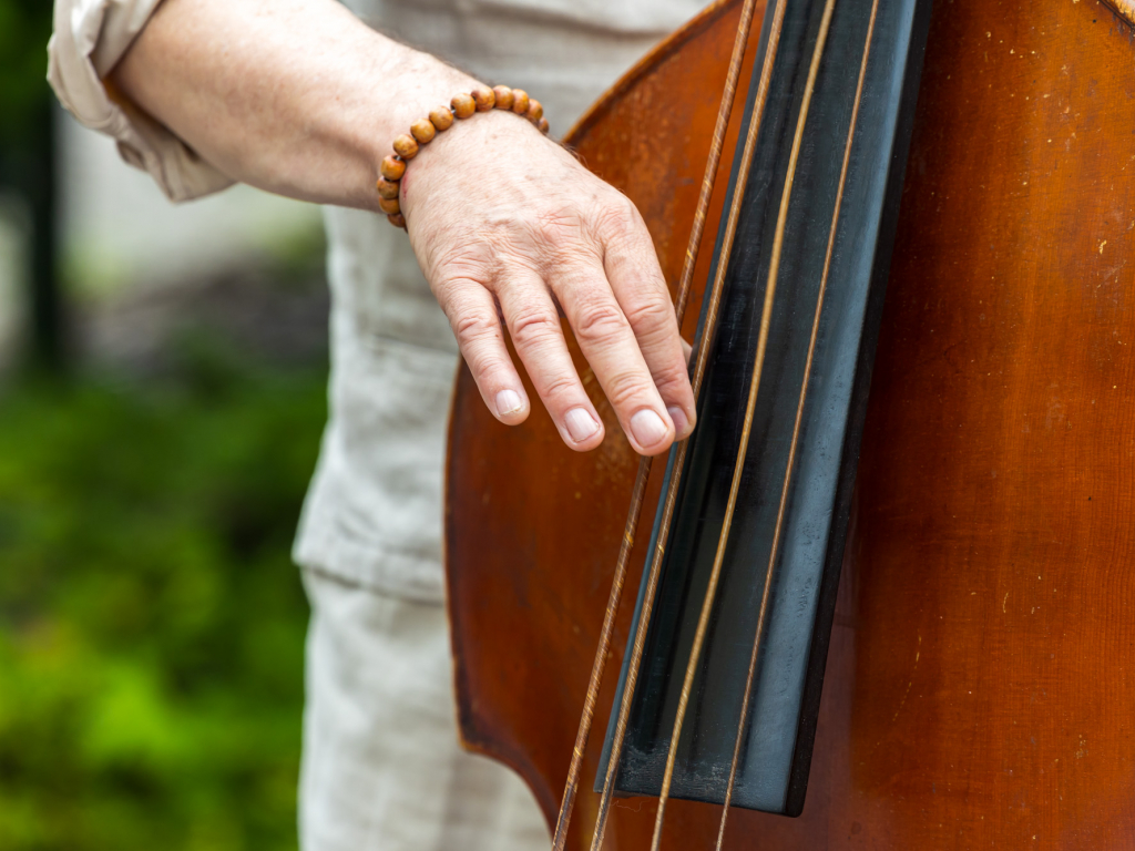 Urheber: Steffen Herre