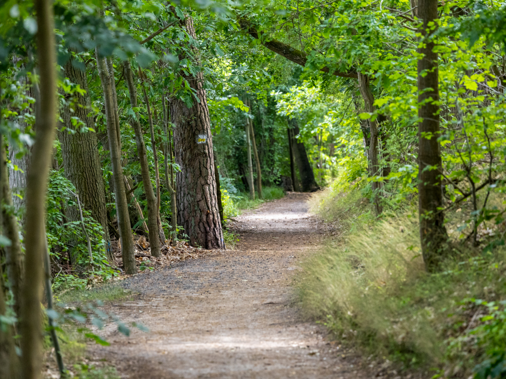 Urheber: Andreas Prinz