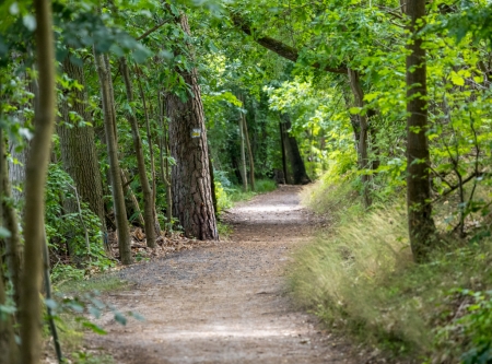 Urheber: Andreas Prinz