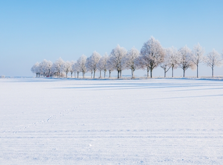 Urheber: Andreas Prinz