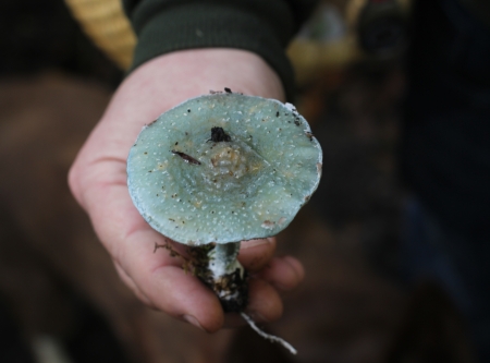 Urheber: Larissa Schulz