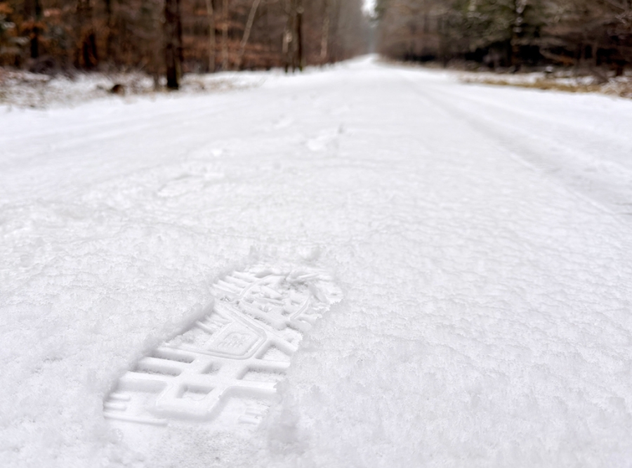 Urheber: Steffen Herre
