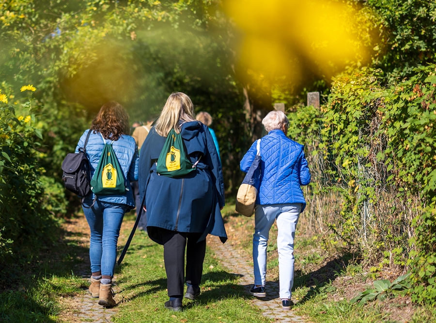 Urheber: Steffen Herre