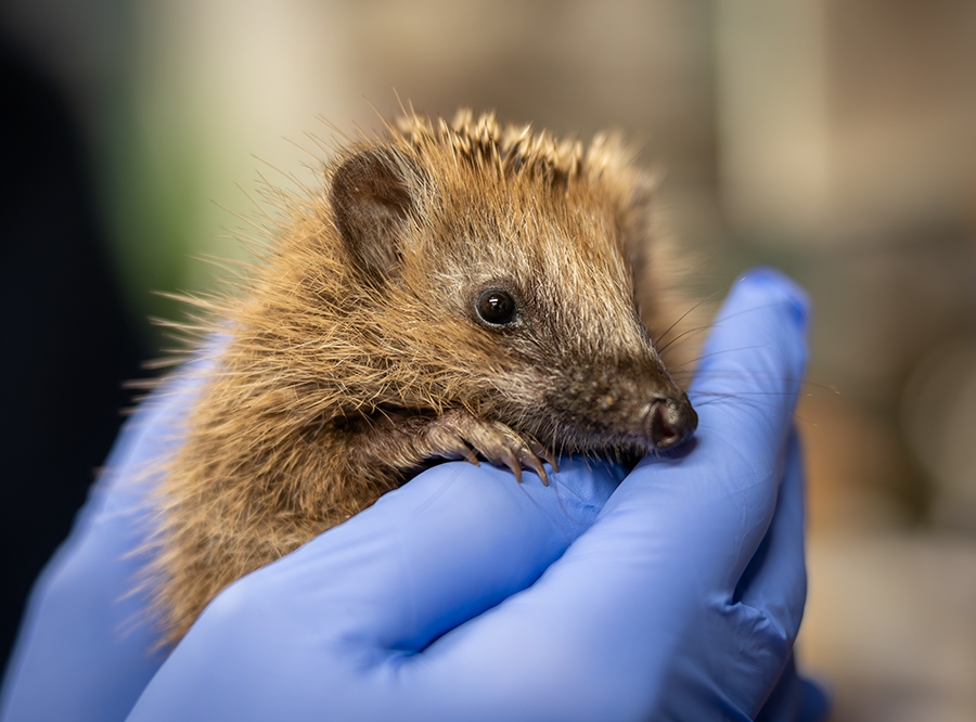 Urheber: Andreas Prinz