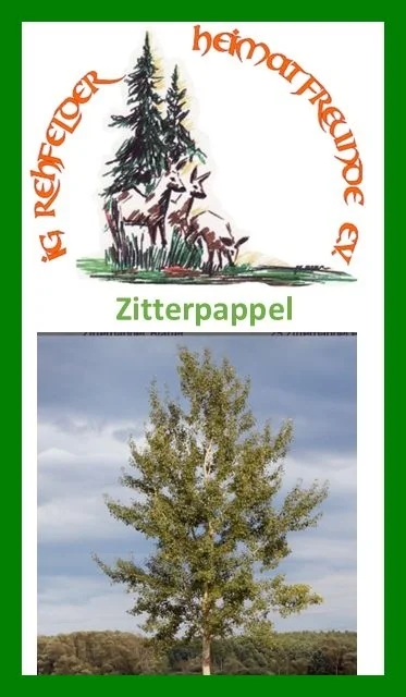 Urheber: Andreas Prinz