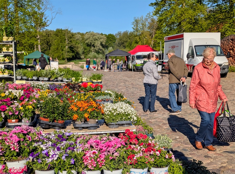 Urheber: Svenja Kauer