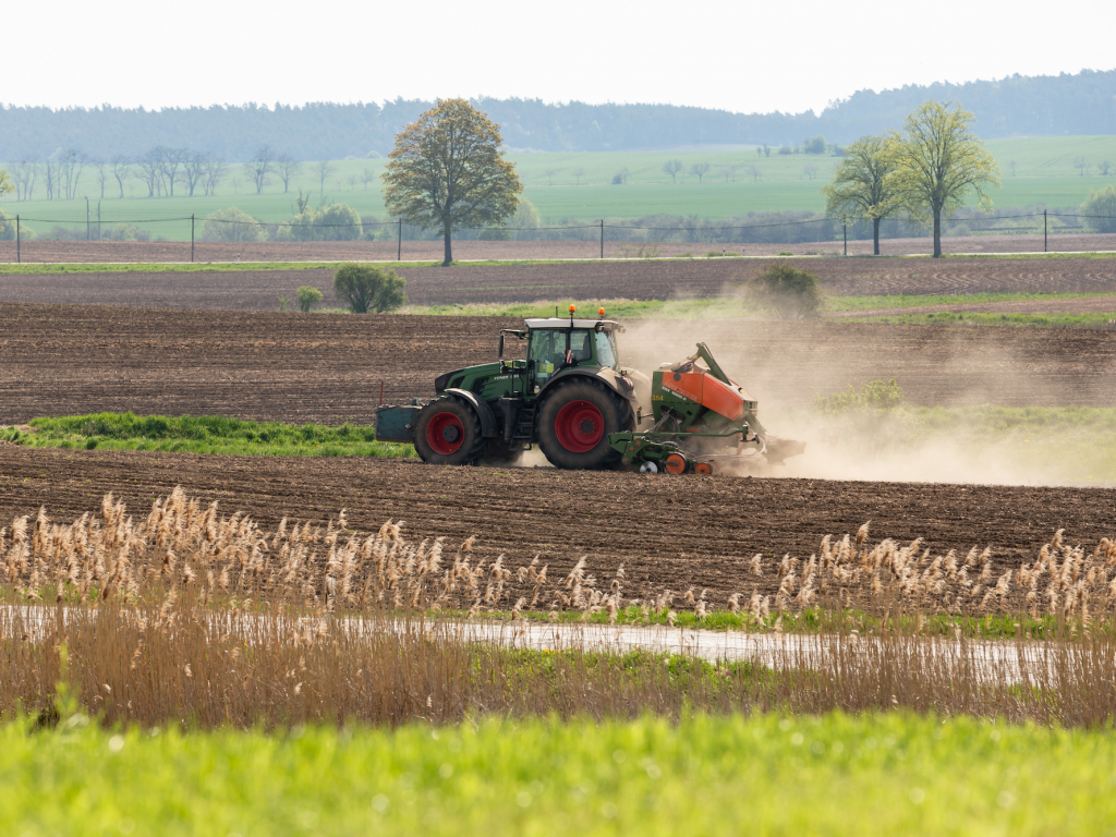 Urheber: Steffen Herre