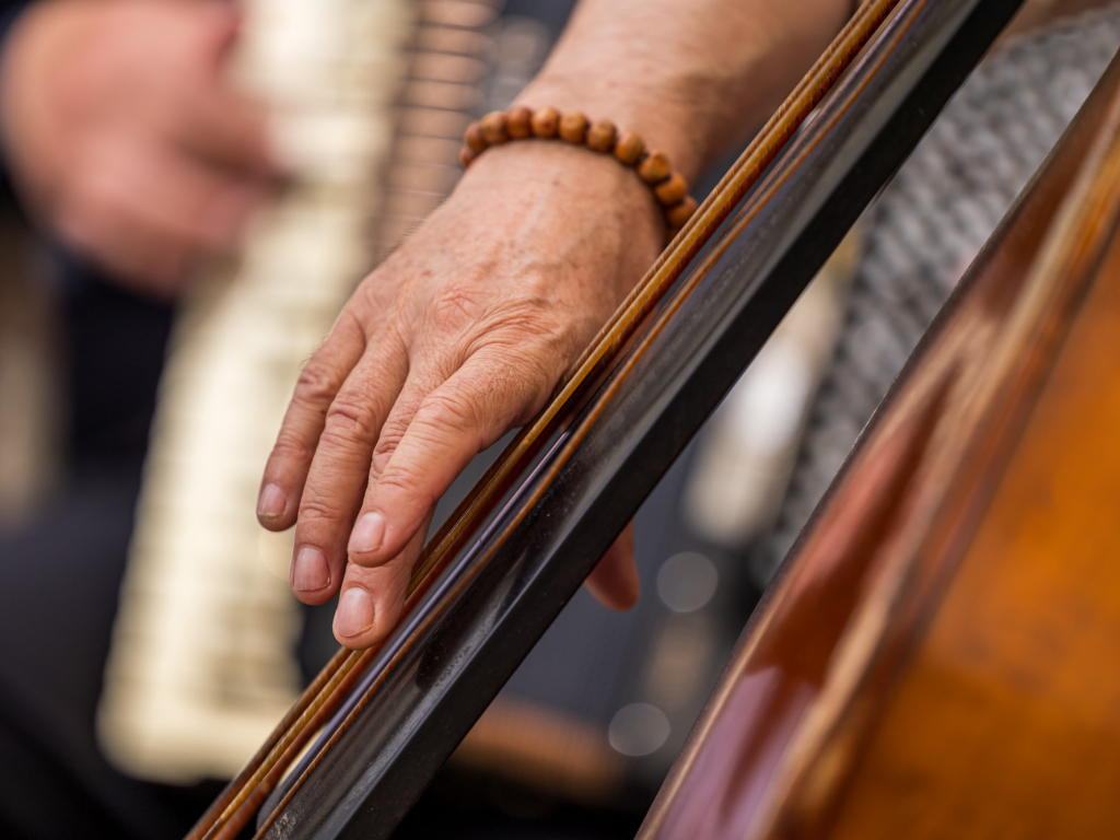 Urheber: Steffen Herre