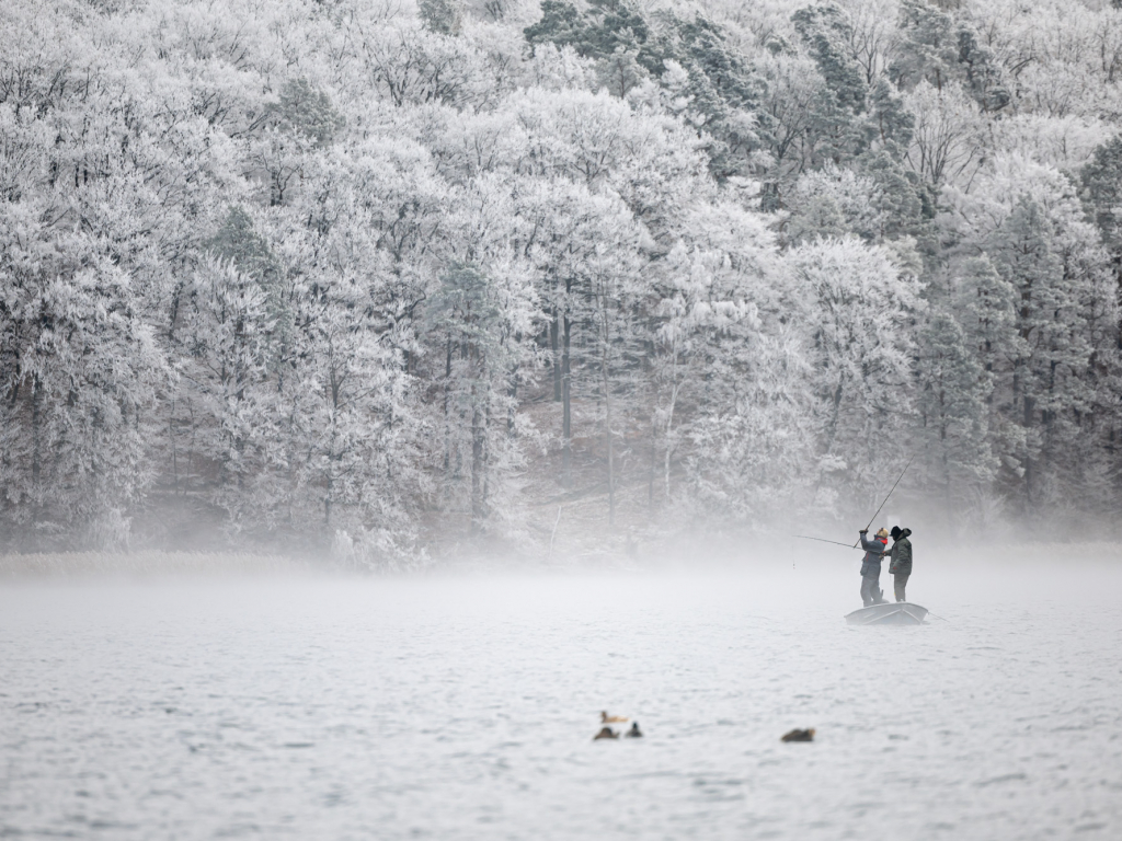 Urheber: Steffen Herre