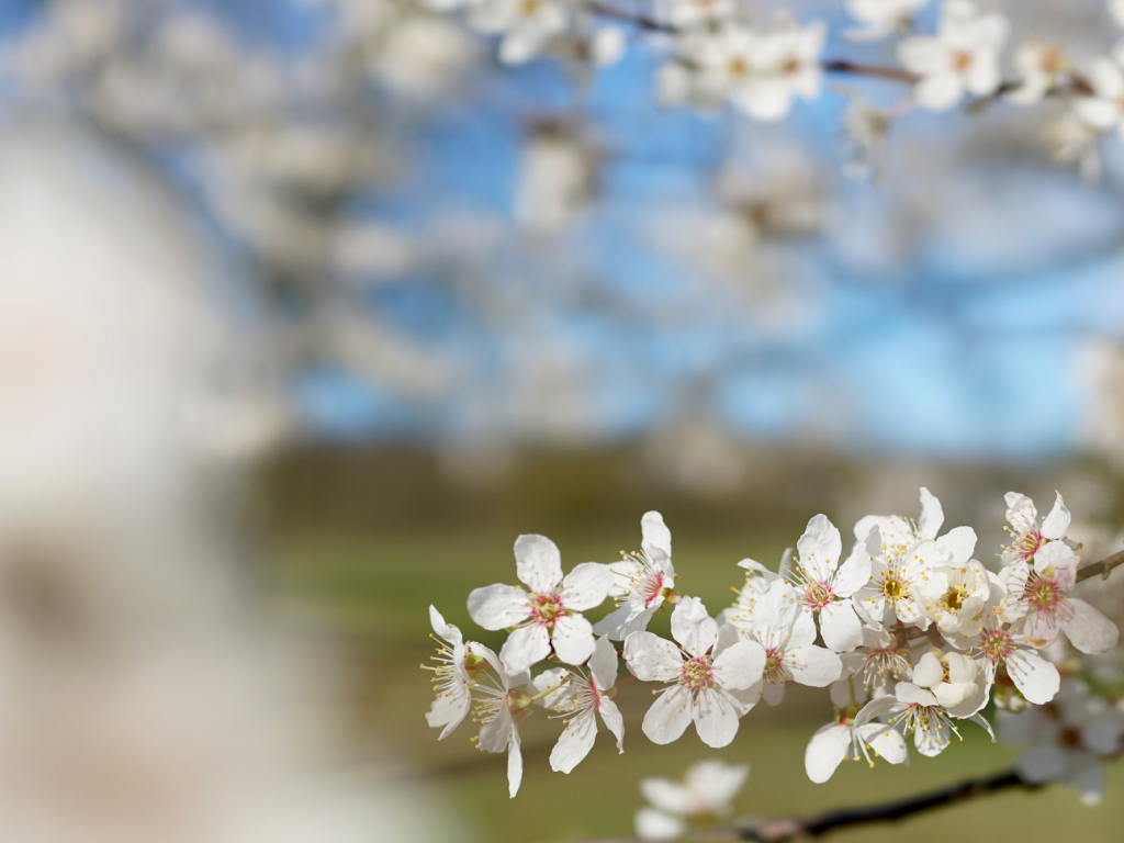 Urheber: Steffen Herre