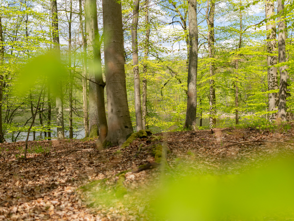 Urheber: Steffen Herre