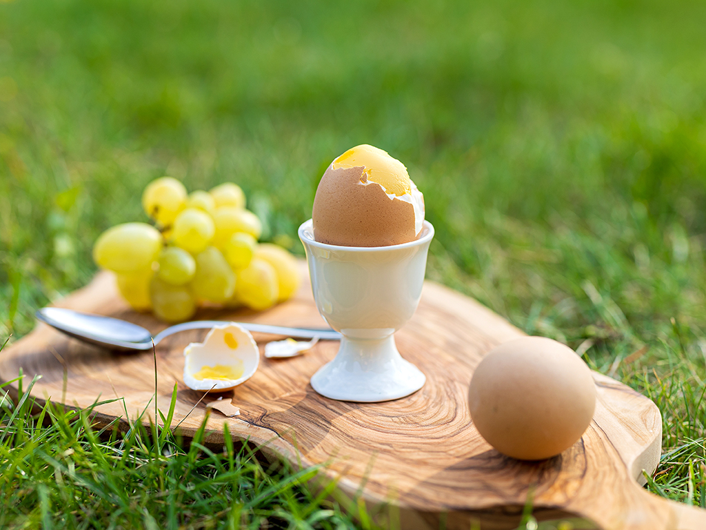 Urheber: Steffen Herre