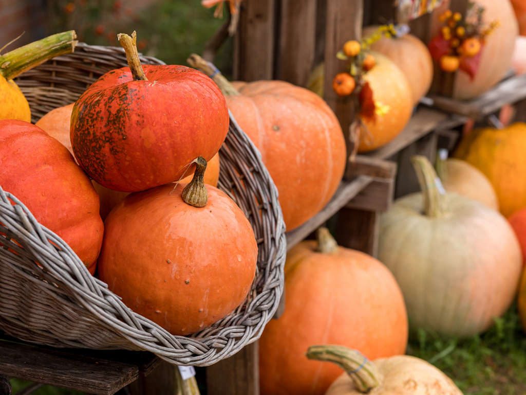 Urheber: Steffen Herre