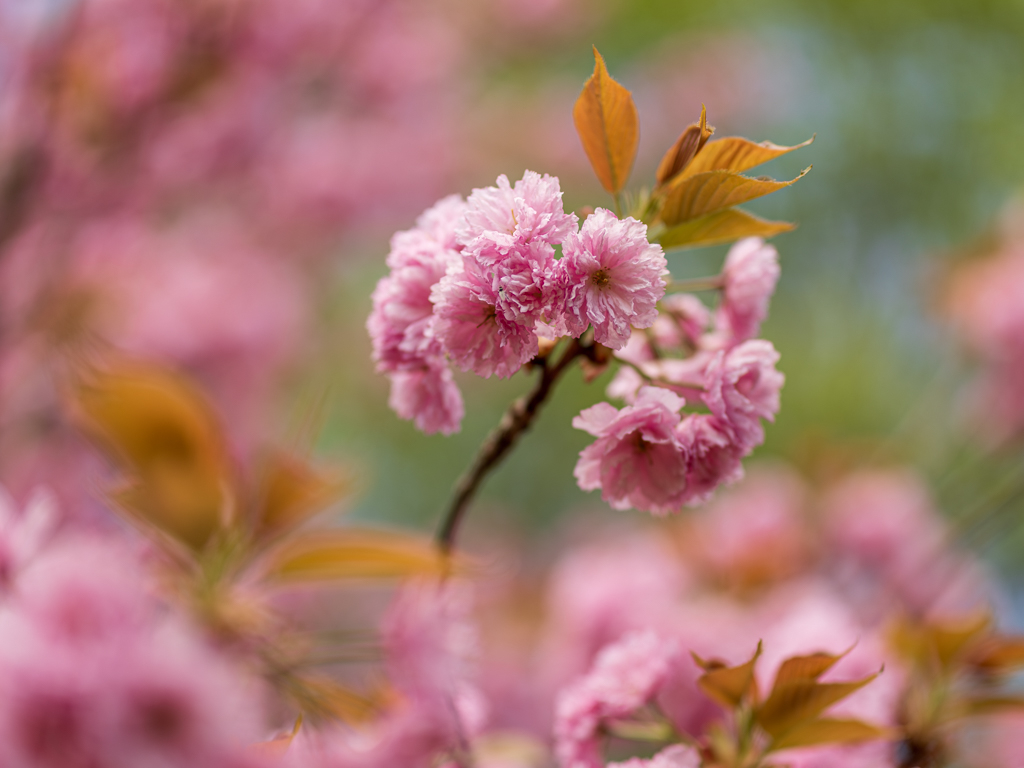 Urheber: Steffen Herre