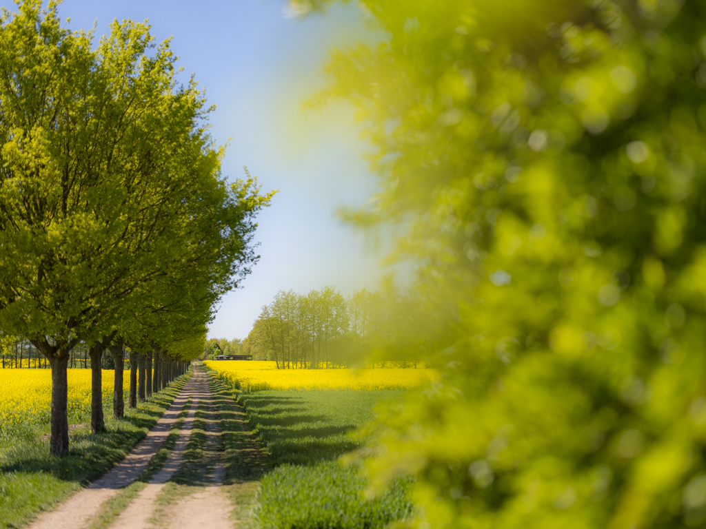 Urheber: Steffen Herre