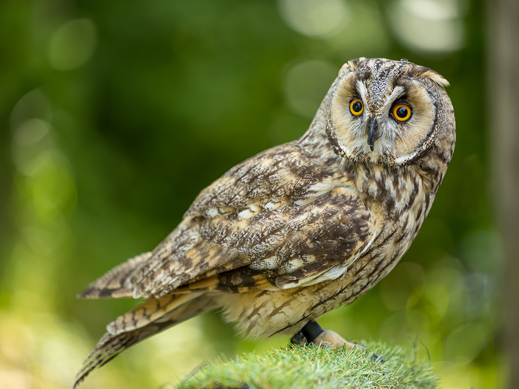 Urheber: Steffen Herre