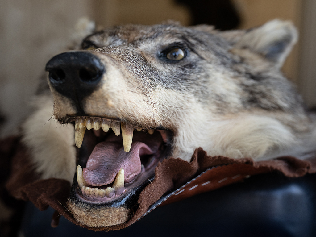 Urheber: Steffen Herre