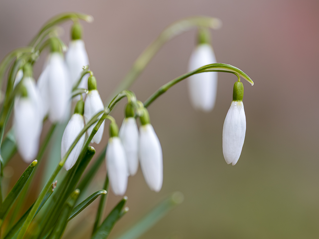 Urheber: Steffen Herre