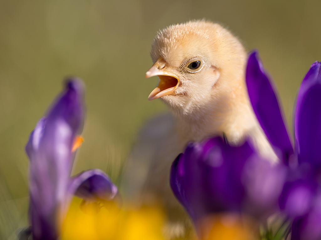 Urheber: Steffen Herre