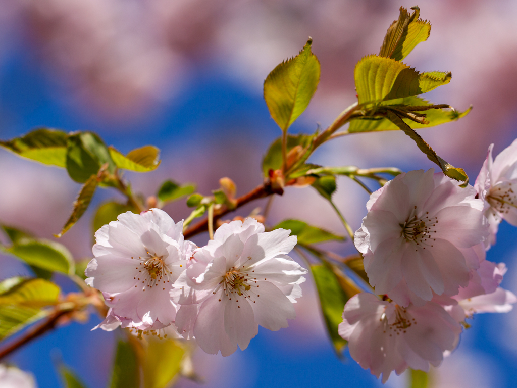 Urheber: Steffen Herre