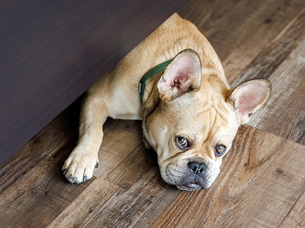 Urheber: Steffen Herre