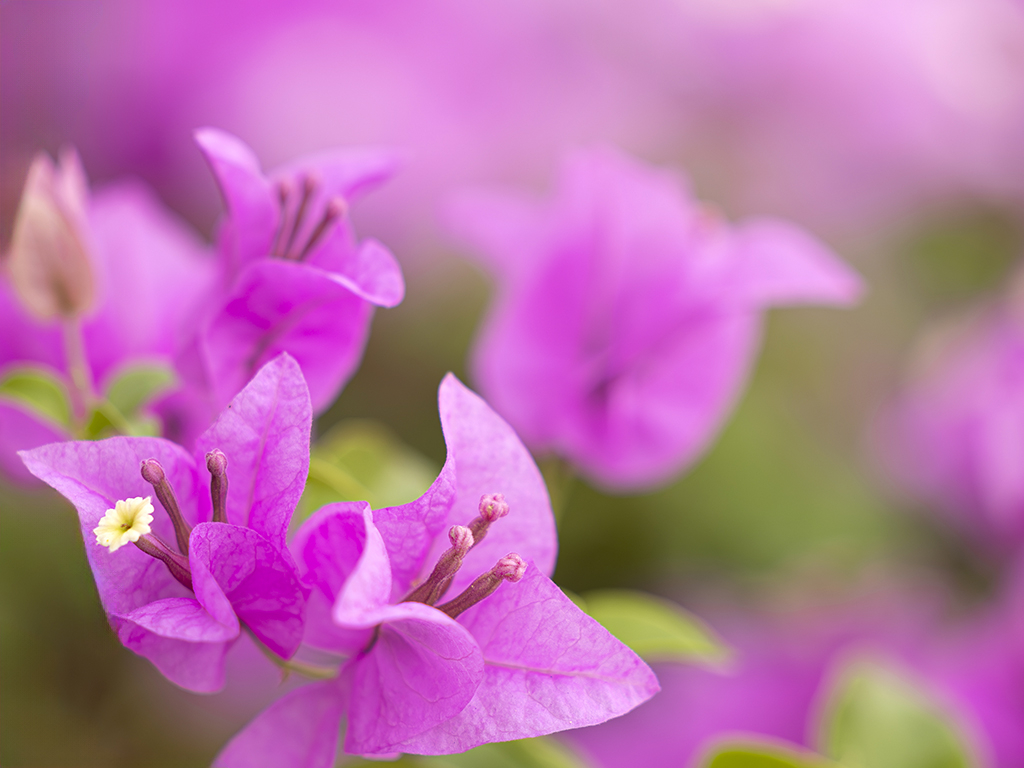 Urheber: Steffen Herre