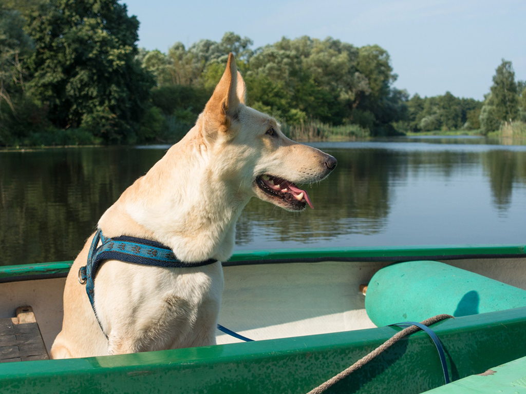 Urheber: Steffen Herre