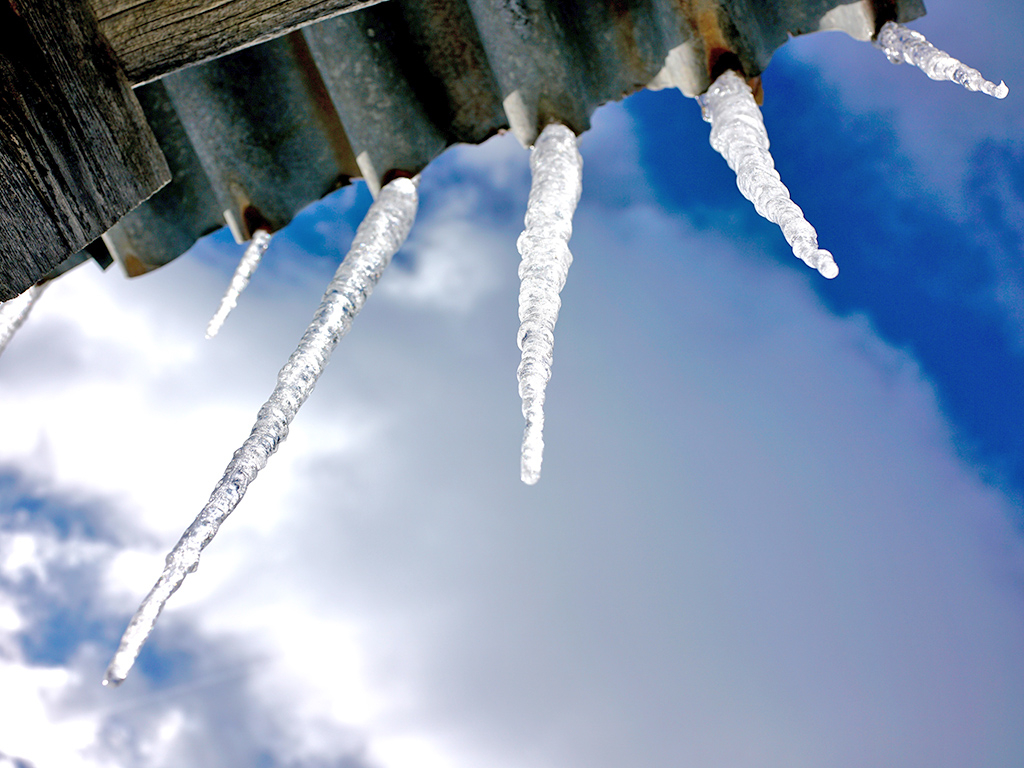 Urheber: Steffen Herre