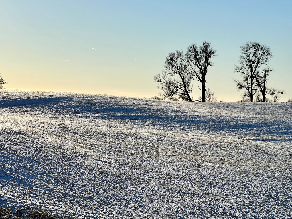Urheber: Steffen Herre
