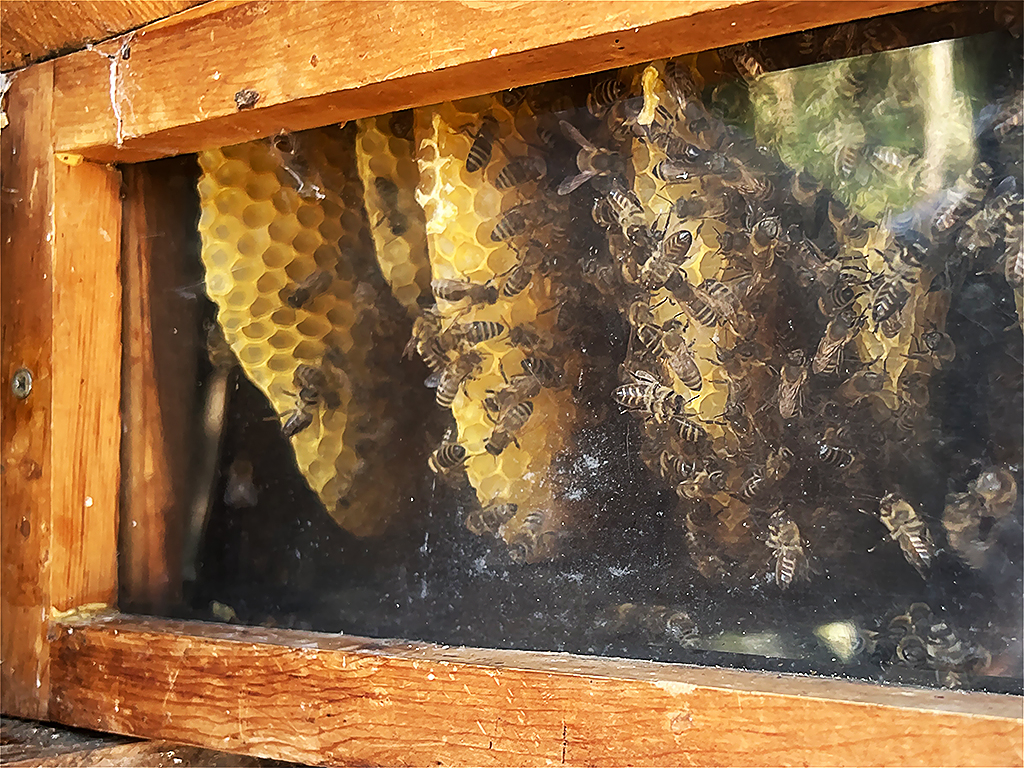 Urheber: Steffen Herre