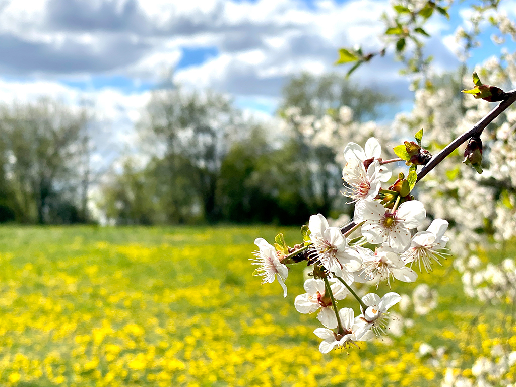 Urheber: Steffen Herre