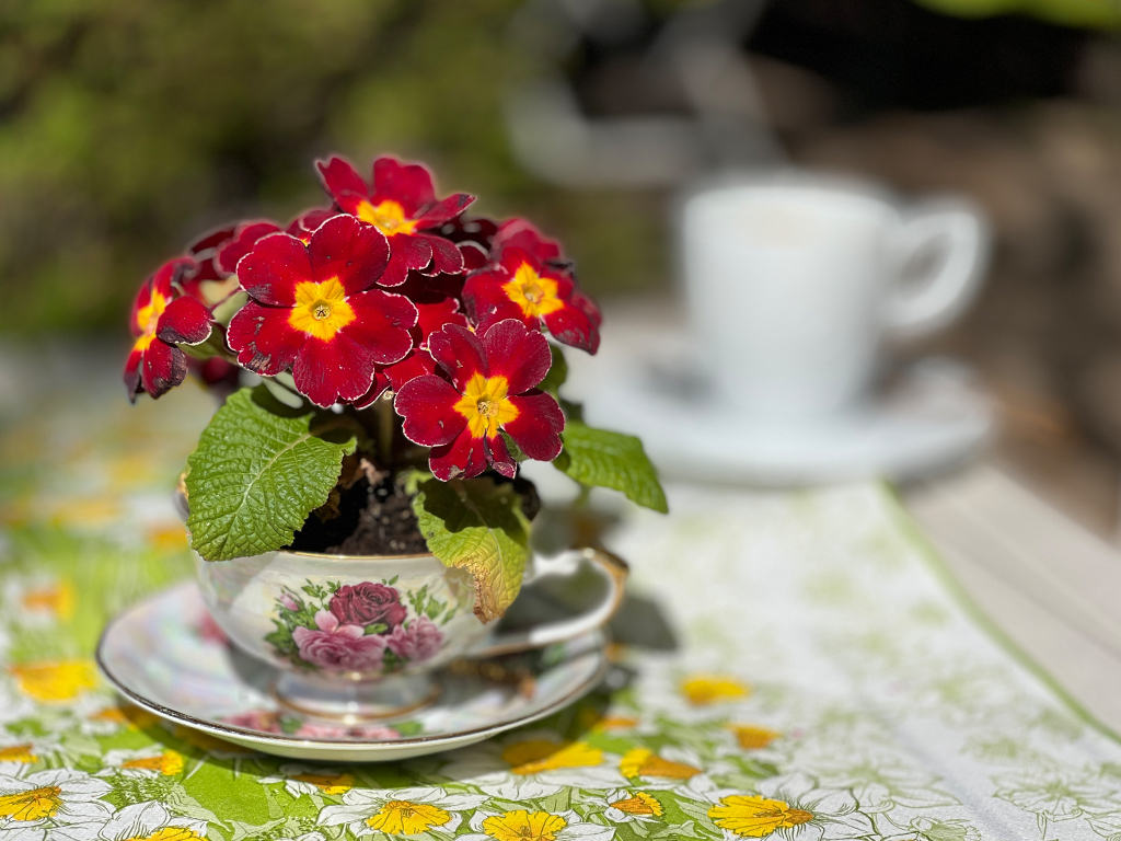 Urheber: Steffen Herre