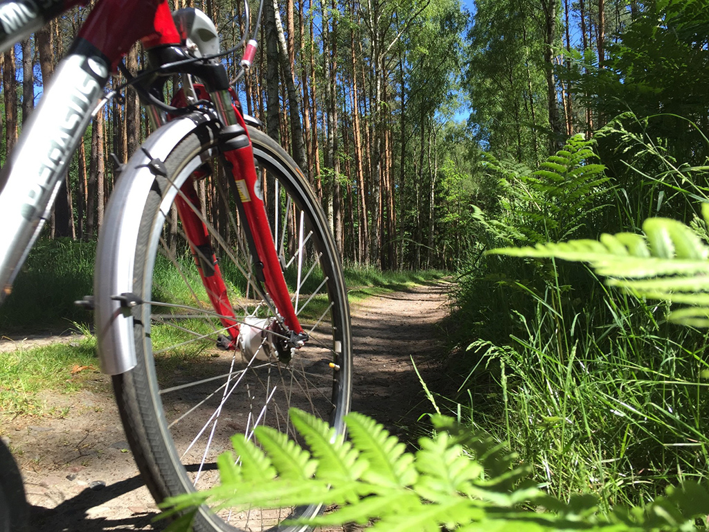 Urheber: Steffen Herre