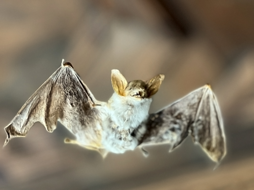 Urheber: Steffen Herre