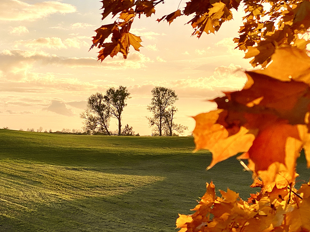 Urheber: Steffen Herre