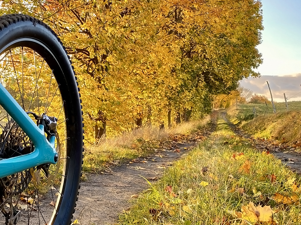 Urheber: Steffen Herre