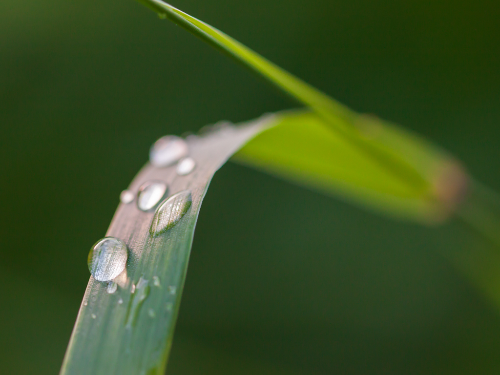 Urheber: Steffen Herre
