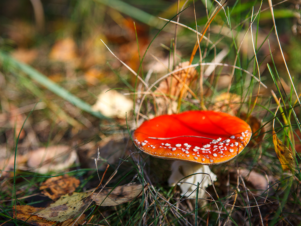 Urheber: Steffen Herre