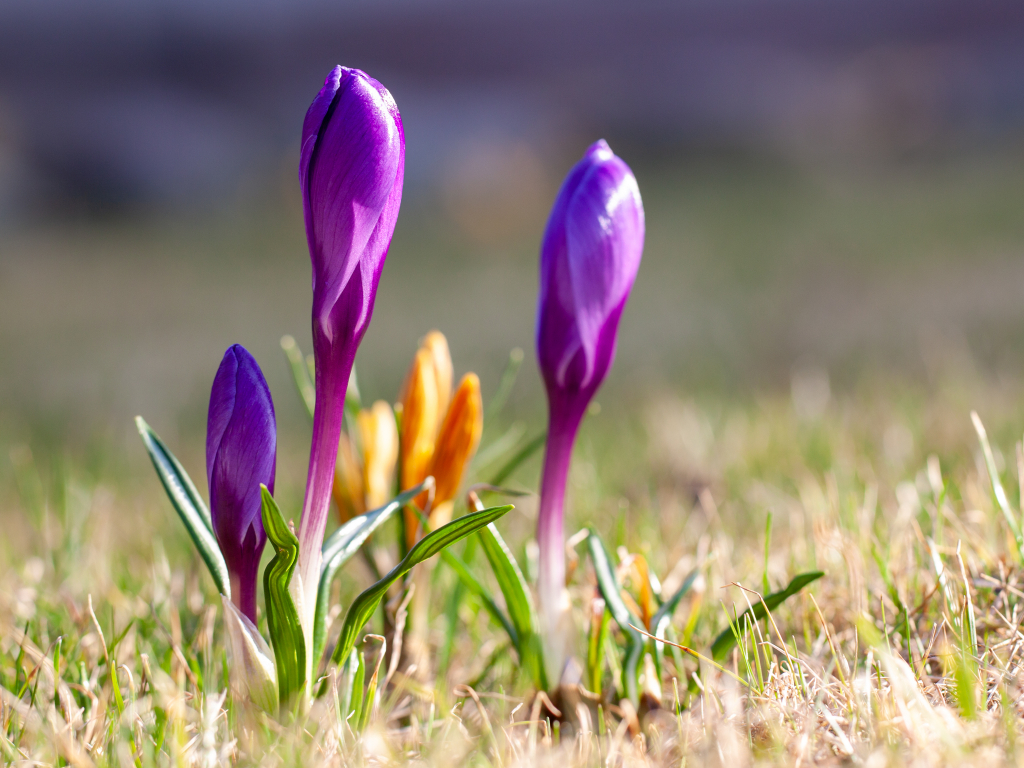 Urheber: Steffen Herre