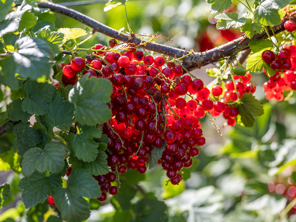 Urheber: Andreas Prinz