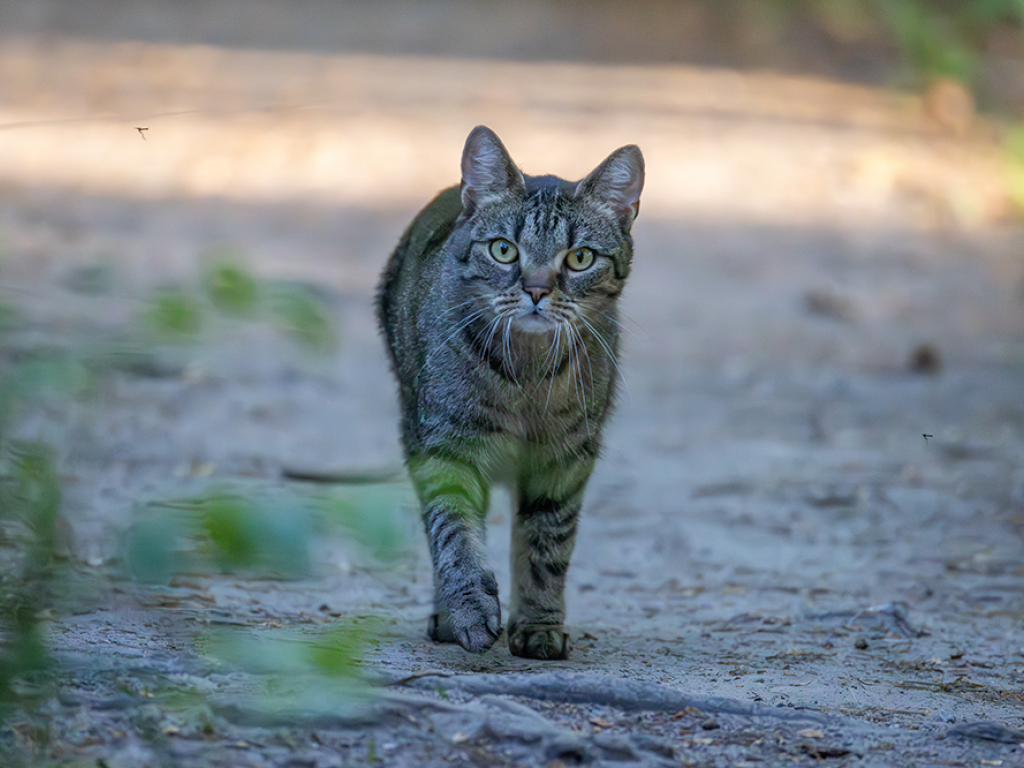 Urheber: Andreas Prinz