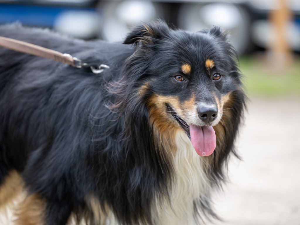 Urheber: Andreas Prinz