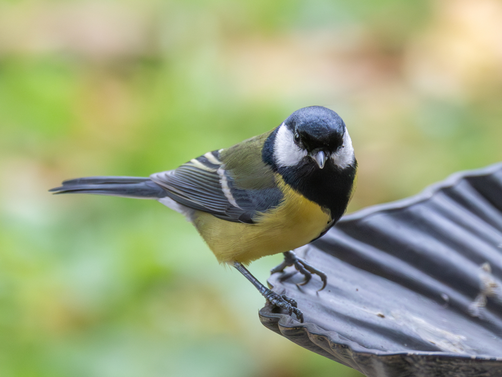 Urheber: Andreas Prinz