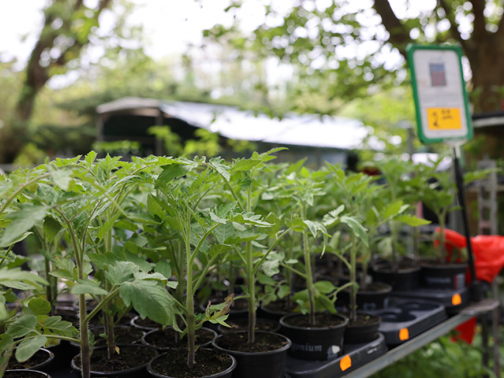 Urheber: Andreas Prinz