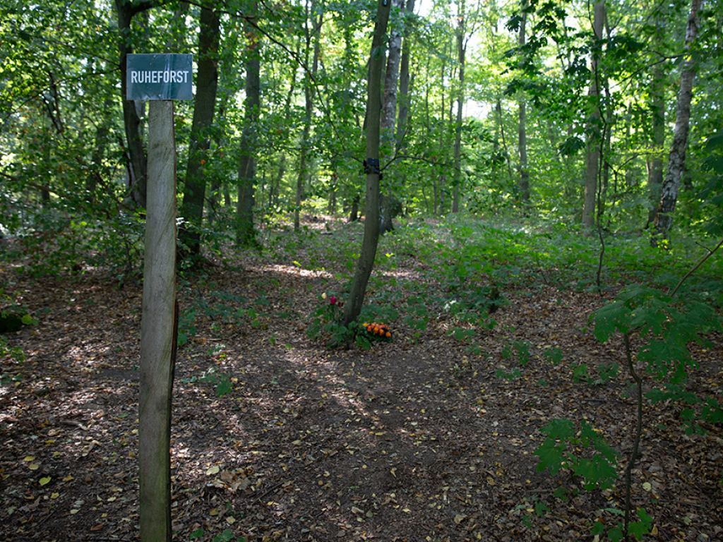 Urheber: Andreas Prinz