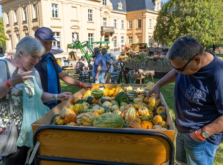 Thmubnail: Regional- und Bauernmarkt